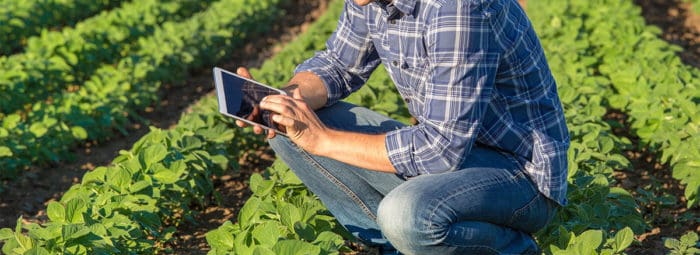 Tecnologia e inovação impulsionam o mercado do agronegócio brasileiro