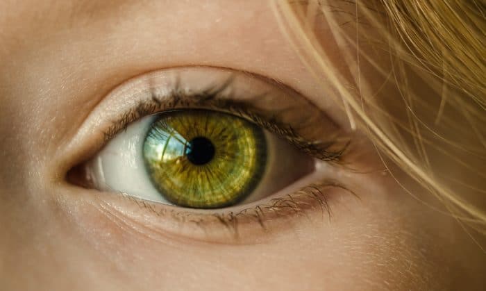 Inteligência artificial é aceita em diagnósticos médicos nos Estados Unidos