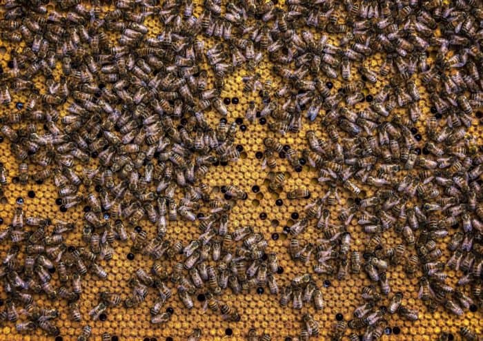 Startup se destaca no nordeste brasileiro por implementar tecnologia avançada na fabricação de bebidas