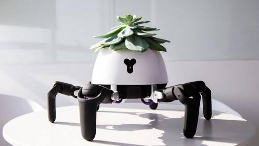 Planta-robô que se movimenta em busca da luz do sol