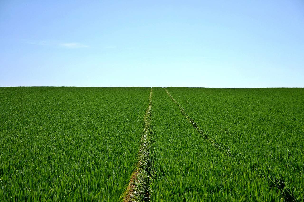 Gigantes do agronegócio se unem para modernizar operações
