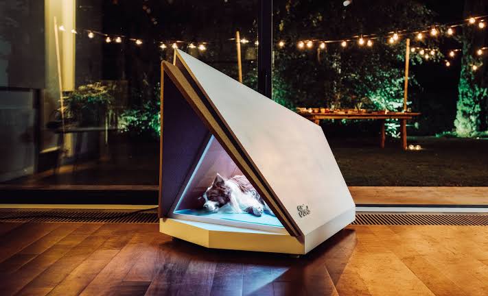 Ford cria casa que acalma animais com medo de fogos de artifício