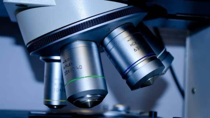 Vir Biotechnology capta quase US$143 milhões em IPO nos Estados Unidos