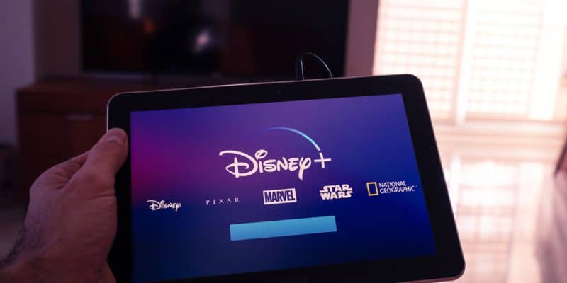 Disney+ tem data para chegar ao Brasil