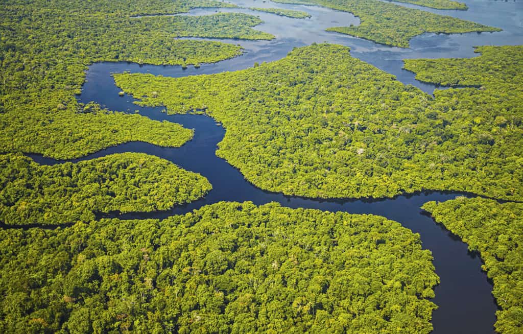 Brasil e China lançam satélite para monitorar a Amazônia