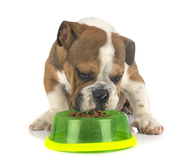 Softbank vai investir R$250 milhões em startup brasileira