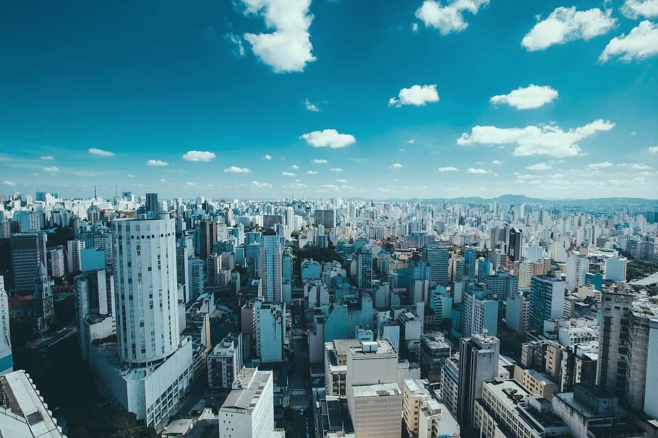 Ecossistema de São Paulo: confira os setores que mais se destacam