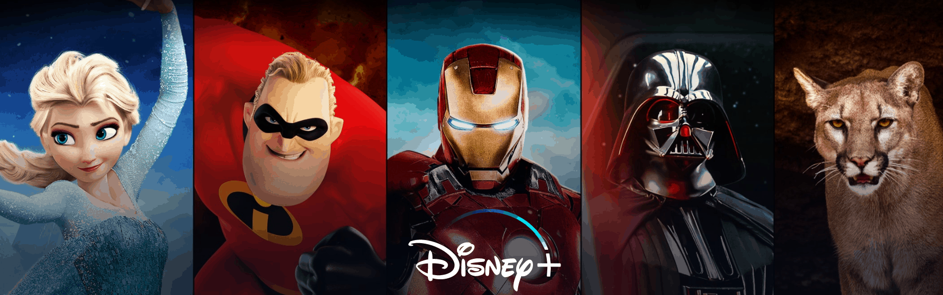 Disney+ estreia no Brasil em 17 de novembro