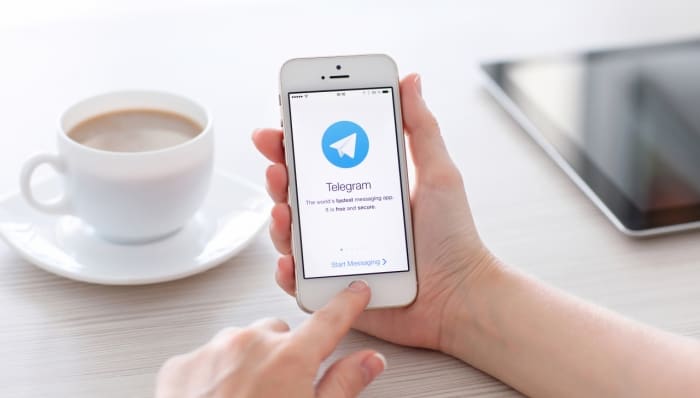 Signal e Telegram têm alta na demanda