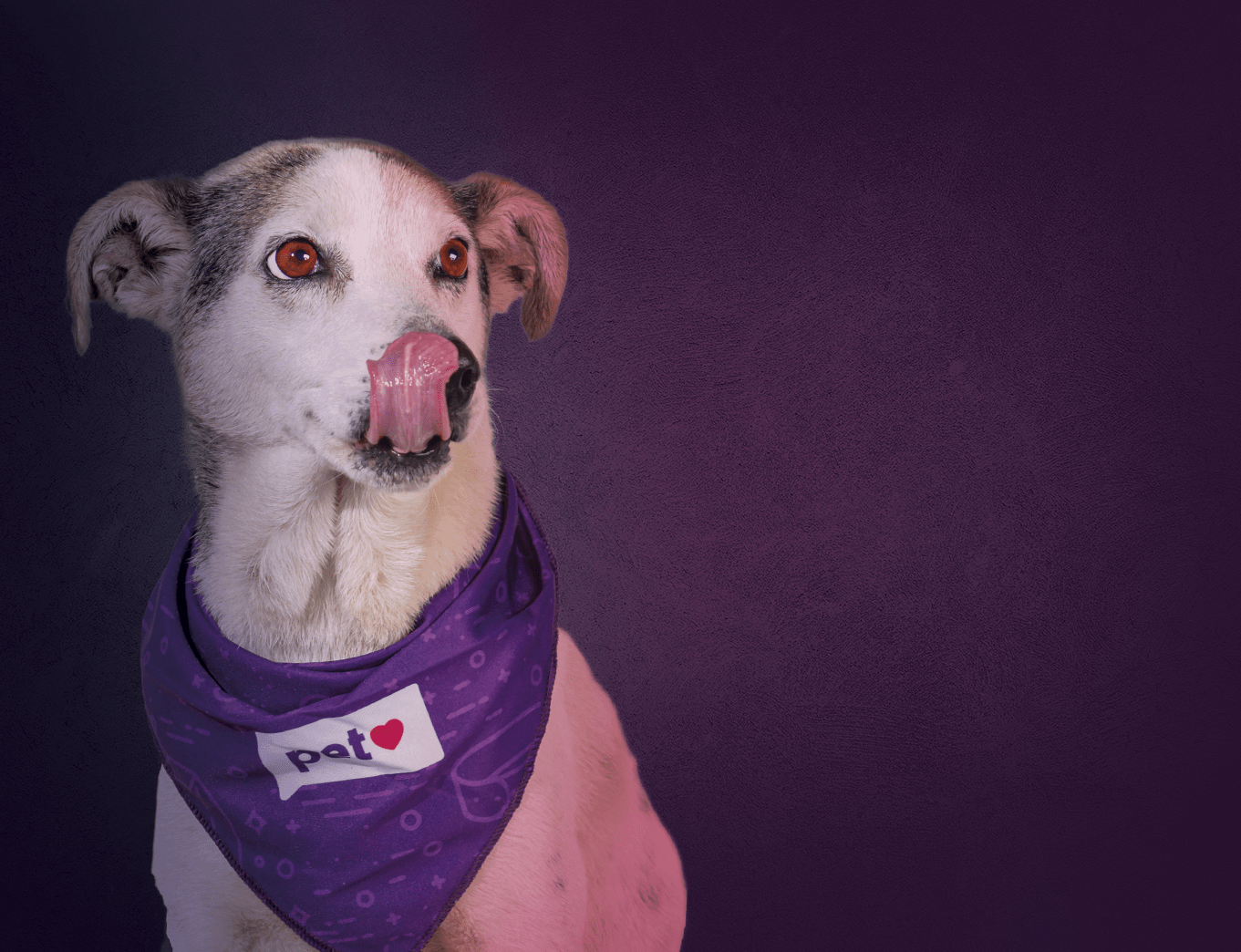 Porto Seguro compra parte da Petlove