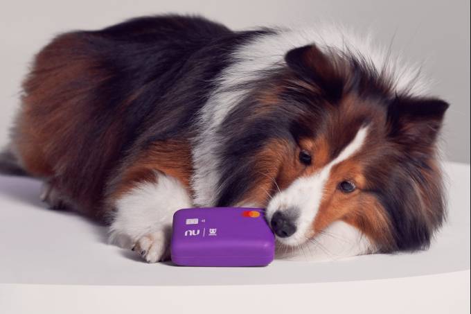 Nubank e Zee.Dog lançam “cartão” para cachorro