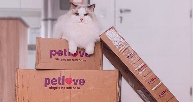 Petlove&Co capta R$ 750 milhões