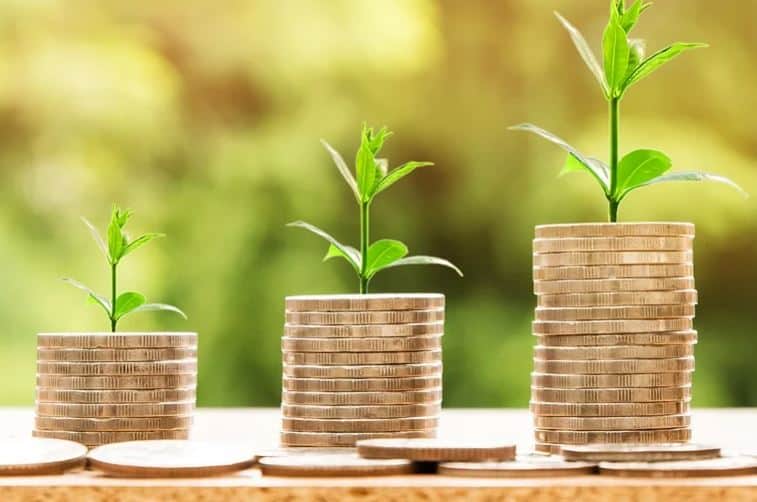 Pulses recebe investimento de R$ 3 milhões