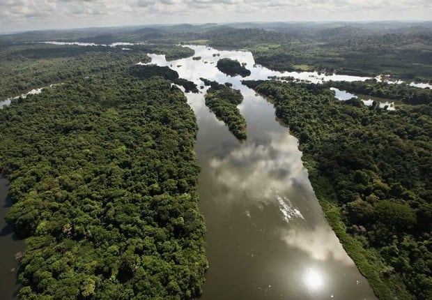 Amazon vai restaurar floresta amazônica