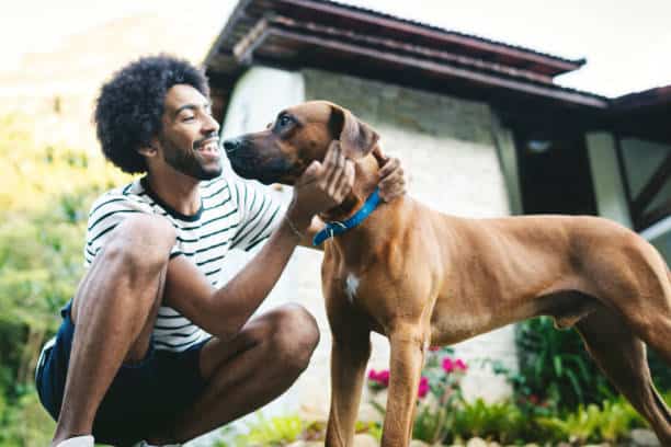 Plataforma de saúde para pets recebe investimento-anjo da Harvard Angels do Brasil