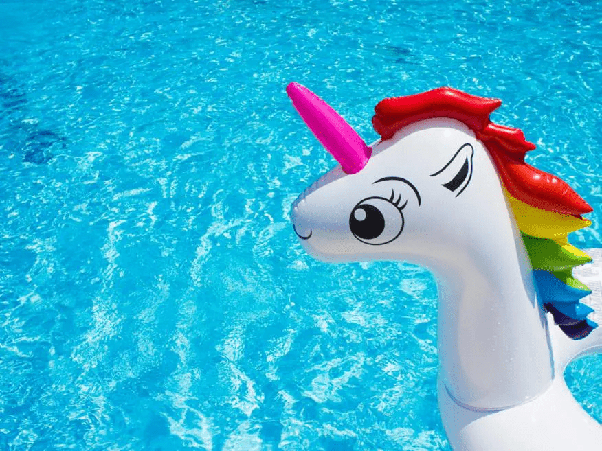 Quais os próximos unicórnios brasileiros de 2022?