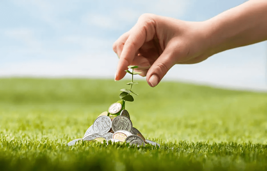 Google for Startups anuncia startups selecionadas para programa de aceleração focado em sustentabilidade