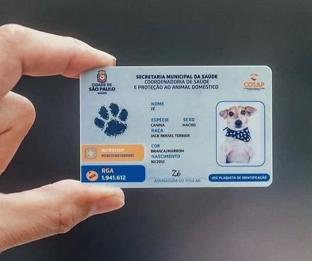 Cerca de 137 mil cães e gatos possuem o registro digital em SP