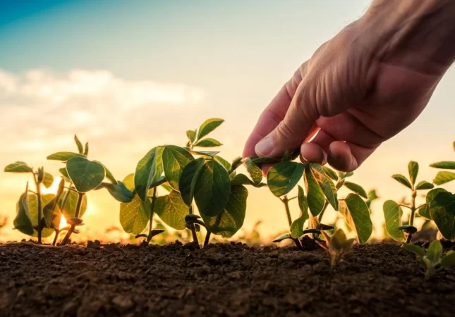 Biotech catarinense aspira transição verde para o agronegócio global