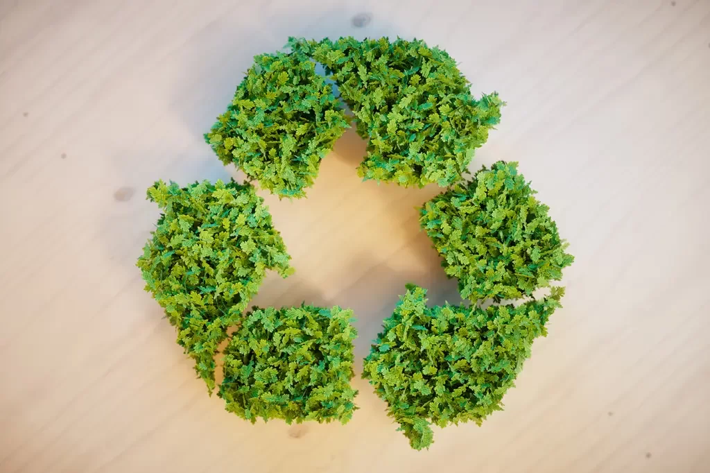 Greentech lança serviço que evita descarte de embalagens danificadas