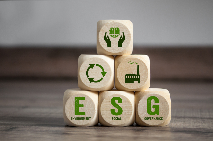 Startup gaúcha lança curso avançado sobre a jornada ESG nas organizações